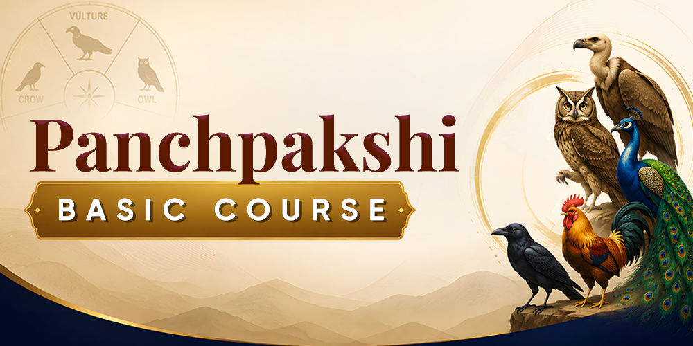 Panchpakshi Basics